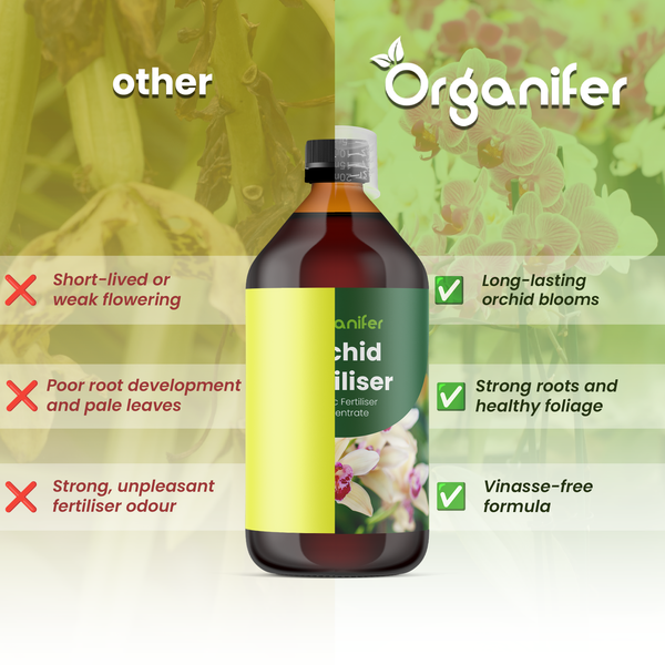 Organifer Logo. Vergleich von Organifer Orchideendünger: lang anhaltende Blüten, starke Wurzeln, gesundes Blattwerk und vinassefreie Formel.