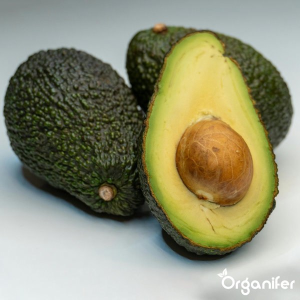 Ganze Avocados und eine halbierte Avocado mit Kern. Organifer Logo.