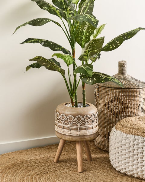 Dekorative Zimmerpflanze in einem geflochtenen Übertopf auf einem Teppich, zusammen mit einem Korb und einem Hocker