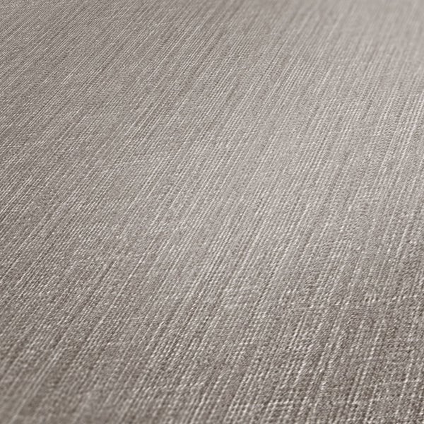 Dekorative Zimmerpflanze in weißem Papierbeutel auf einem Holztisch mit zwei Büchern