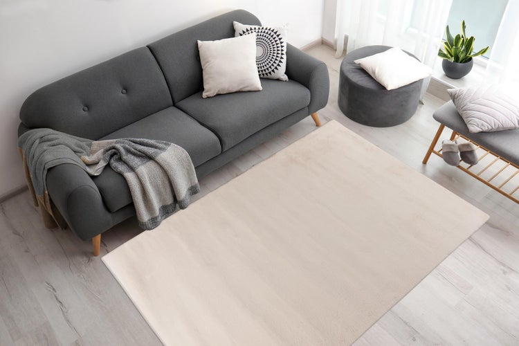 Moderner Wohnbereich mit dunkelgrauem Sofa, hellem rechteckigem Teppich, Polsterhocker und Pflanze auf hellem Holzboden. Hell und geordnet.