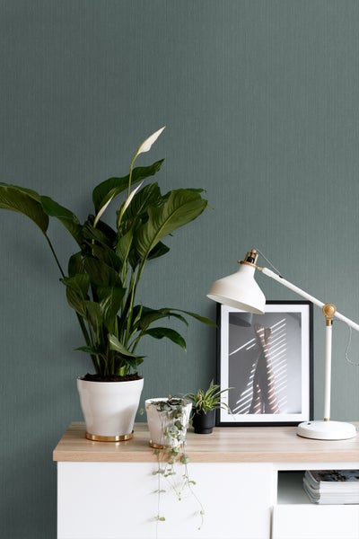 Dekoratives Zimmer mit Zimmerpflanzen, Lampe und gerahmtem Bild auf einem Tisch vor einer Wand.