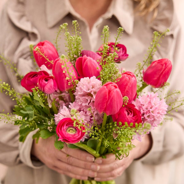 Bloomique - Mischung aus 20 - Tulipa - Tulpenzwiebeln - Rosa - Blumenzwiebeln - Frühlingsblüher - Mehrjährige Pflanzen - Wird bis zu 45-55 cm groß