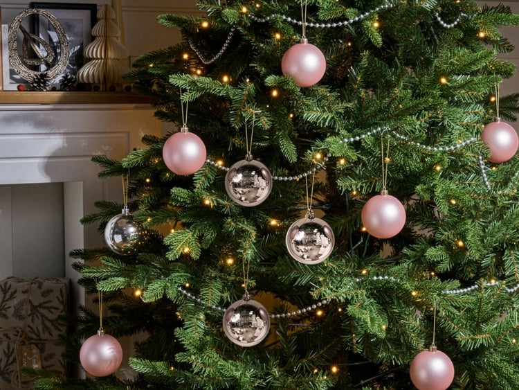 Pfeifenstrauch im Gartenbeet