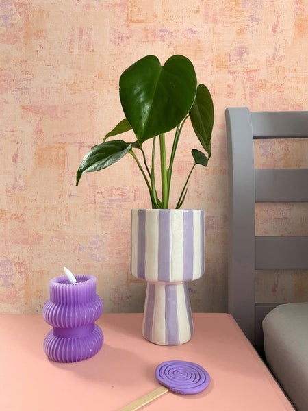 Dekorative Innenszene mit Zimmerpflanze im gestreiften Topf, lila Kerze und lilafarbenem Duftwachs auf einem Tisch