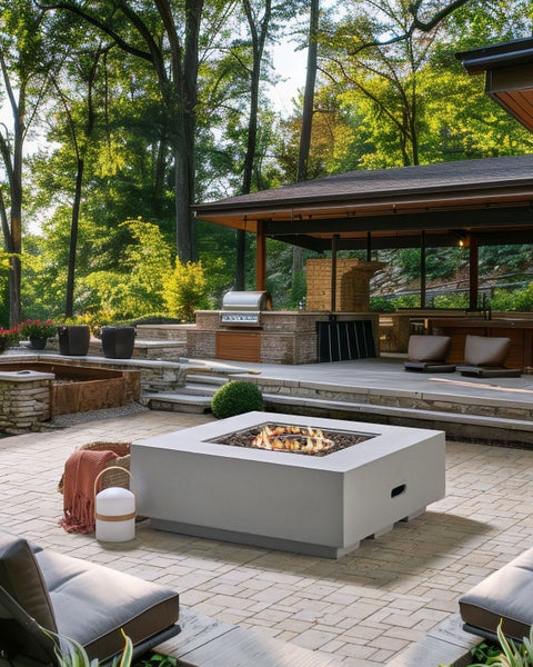 Mehrere Hanfpalmen Trachycarpus fortunei in schwarzen Kunststofftöpfen in einer organisierten Reihe im Freien aufgestellt.