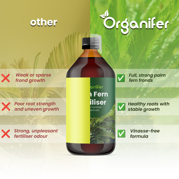 Vergleich von Organifer Palmfarndünger mit anderen Düngern: volle Wedel, gesunde Wurzeln und vinassefreie Formel. Organifer Logo.