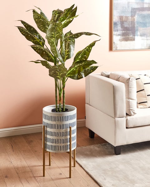 Dekorative Zimmerpflanze in einem Blumentopf mit Ständer neben einem Sofa