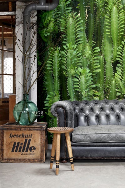 Dekorative Inneneinrichtung mit Vintage-Sofa, Hocker, Holzkiste und Pflanzentapete