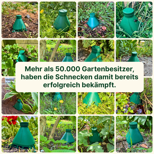 Collage aus Anwendungsbeispielen einer Schneckenfalle zur effektiven Bekämpfung von Schnecken im Gartenbeet zwischen verschiedenen Pflanzen.
