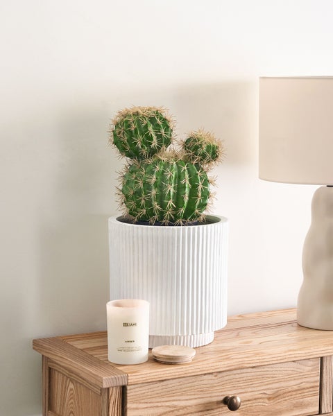 Kunstpflanze BALL CACTUS 33 cm Grün