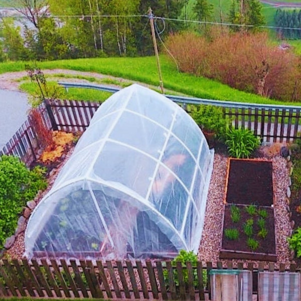 Garten mit einem Folientunnel zum Anbau von Pflanzen