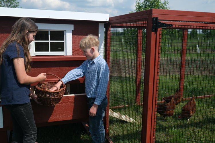 Hühnerauslauf XL EZ Chicken Home Rot 408 x 300 x 154cm Hergestellt in EU