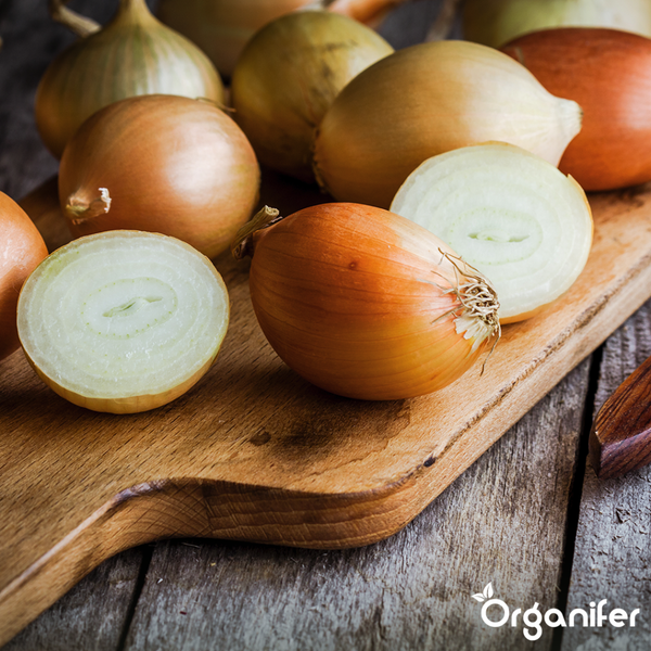 Wandleuchte aus Metall und Glas