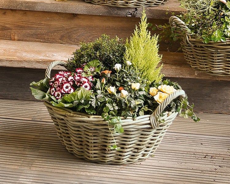 Dekoleidenschaft Pflanzschale Koboo Grey Ø 43x18 cm groß, aus Rattan, rund, grau, Pflanzkorb, Blumentopf,  Pflanztopf für Draußen, Blumenkübel