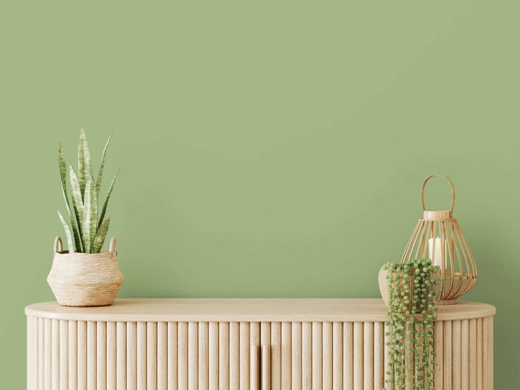 Wandfarbe in hellem Grün hinter einem Holzsideboard mit Zimmerpflanzen und einer Laterne in einem hellen und aufgeräumten Wohnraum.
