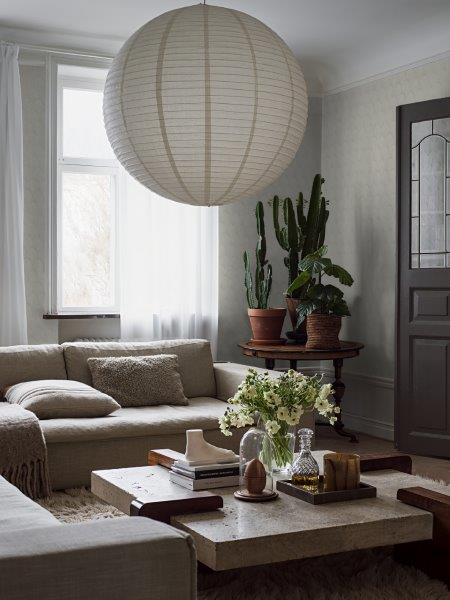 Blühender Weigelien Strauch im Garten