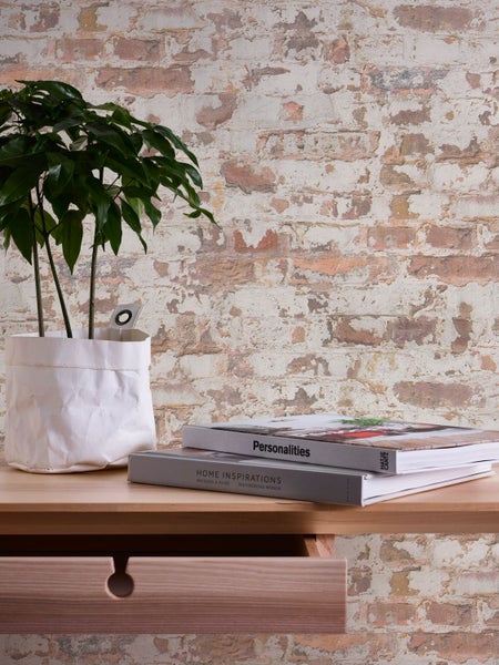 Regal mit Pflanze, Zitrone, Klemmbrettern und Dekoration vor einer Steinwand