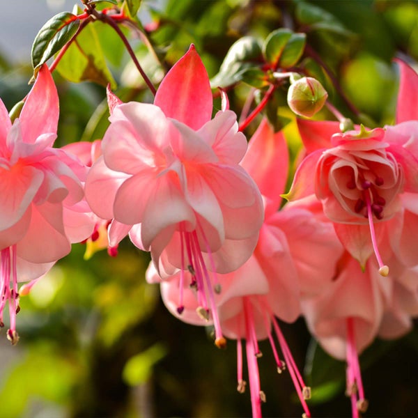 Kippbehälter aus Metall mit Sicherheitsmarkierung