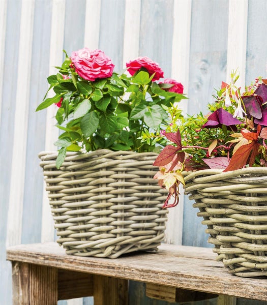 Dekoleidenschaft Pflanzkorb Koboo Grey aus Rattan, quadratisch, grau, klein, Blumentopf, Pflanzkübel, Pflanztopf für Draußen, Blumenkübel