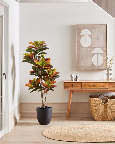 Dekoratives Interieur mit Kroton im Topf, Holzkonsole, Kunstwerk und Teppich