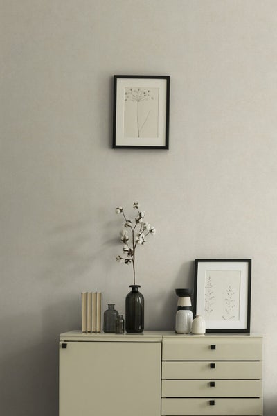 Europäische Lärche als Ziergehölz im Garten neben einer Bank