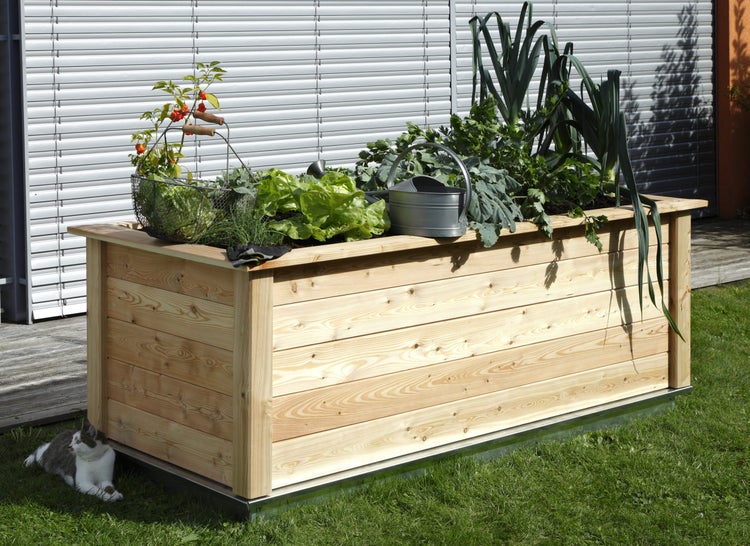 Hochbeet aus Holz mit Metallsockel, bepflanzt mit Salat, Lauch und Kräutern, mit kleiner Gießkanne im Garten.