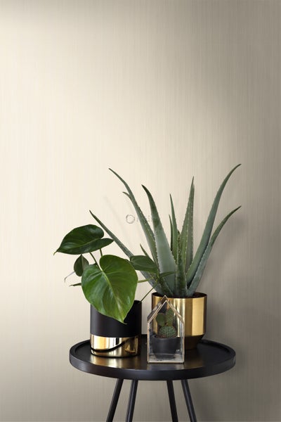 Dekorative Pflanzen auf einem Beistelltisch vor einer neutralen Wand
