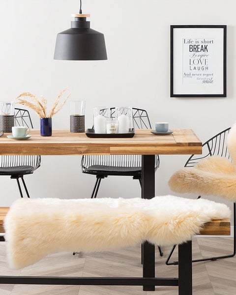 Kiefer Setzling im Gartenbeet