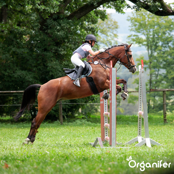 Pferd und Reiterin springen über ein Hindernis auf einem grünen Feld.