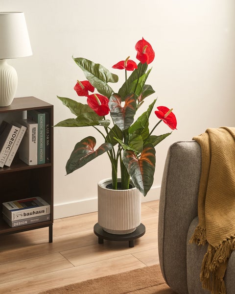 Flamingoblume mit roten Blüten in weißem geriffeltem Keramiktopf auf schwarzem Pflanzenständer im Wohnzimmer neben Regal und Sofa.