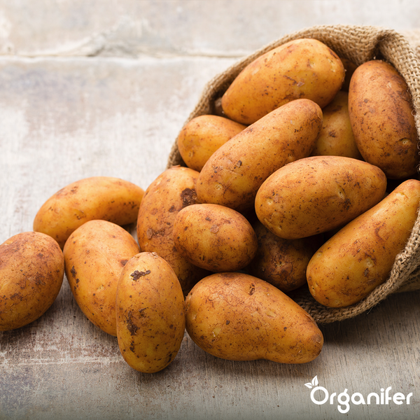 Lüftungsrohrverbinder aus Metall für Lüftungsanlagen