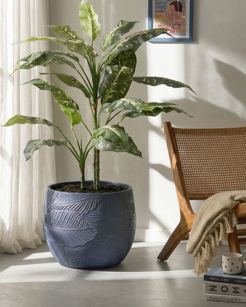 Innenaufnahme mit Dieffenbachia Pflanze in einem Topf mit Blattmuster neben einem Holzstuhl mit Decke und einem Stapel Bücher