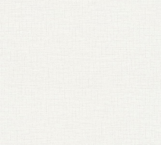 Nahaufnahme von rosa blühenden Sonnenhüten im Garten.