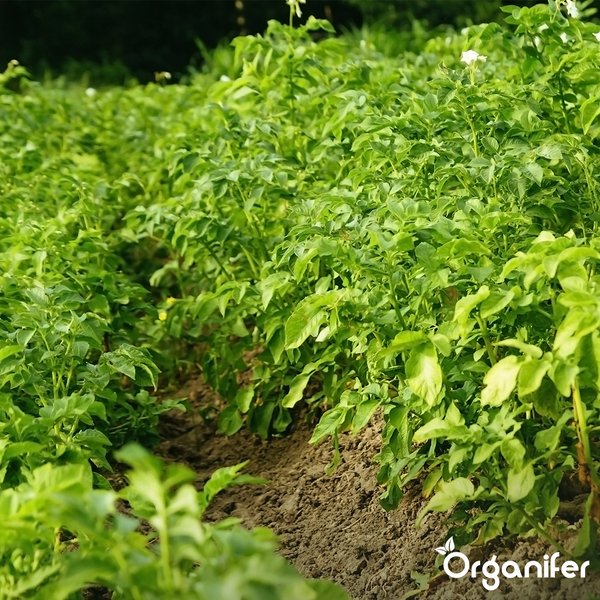 Geschmückter, künstlicher Weihnachtsbaum mit Blumen und Kugeln