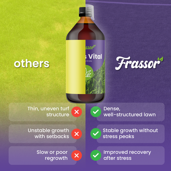 Infografik vergleicht Frassor Gras Vital mit anderen Düngern und zeigt Vorteile wie dichten Rasen, stabiles Wachstum und Regeneration. Frassor Logo.