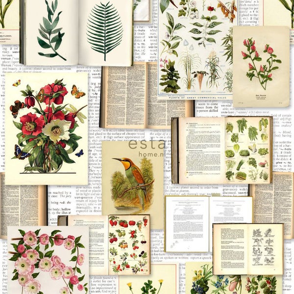 ESTAhome XXL-Vliestapete Seiten aus botanischen Büchern Crème-Beige, Grün, Braun und Ockergelb - 50 x 900 cm - 158825