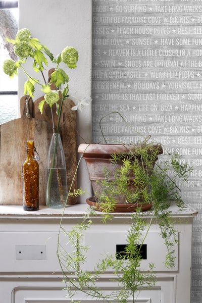 Dekorative Szene mit Pflanze im Terrakottatopf, Glasflaschen und Holzschneidebrettern auf einem weißen Schrank vor einer gemusterten Tapete.