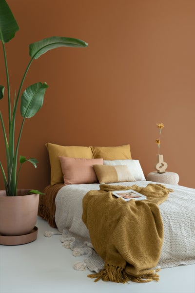 Modernes Schlafzimmer mit rotbrauner Wandfarbe, bodentiefem Bett mit Kissen und Strickdecke sowie einer großen Zimmerpflanze im Tontopf.