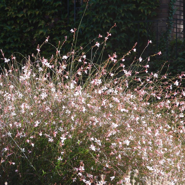 Hohes Lagerregal mit sechs Regalböden und einer Person zur Größenorientierung