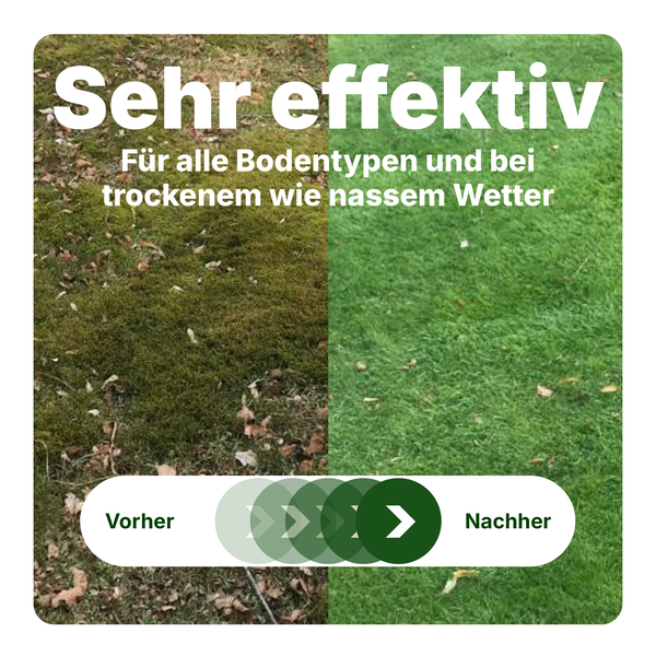 Vorher-Nachher Vergleich einer Rasenfläche, die zeigt, wie Unkraut und Moos effektiv entfernt wurden.