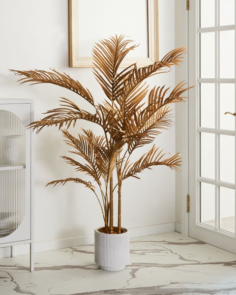 Dekorative Goldpalme in geriffeltem Topf als Zimmerpflanze