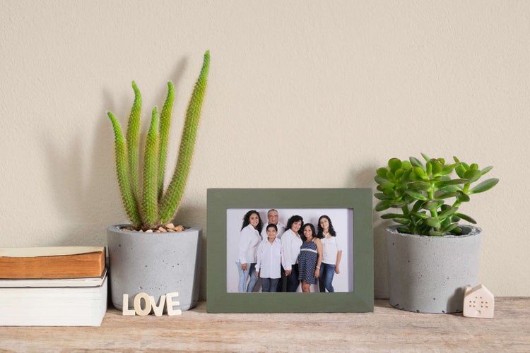 Grüner Bilderrahmen mit Familienfoto auf einem Holzregal, flankiert von Kaktus und Sukkulente in Betontöpfen, mit Büchern und Dekoration.