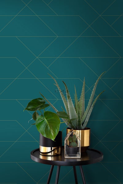 Dekorative Zimmerpflanzen auf einem Beistelltisch vor einer gemusterten Wand