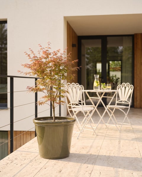 Glänzender olivgrüner Pflanztopf mit japanischem Ahorn auf einer hellen modernen Terrasse mit weißen Metallgartenmöbeln.