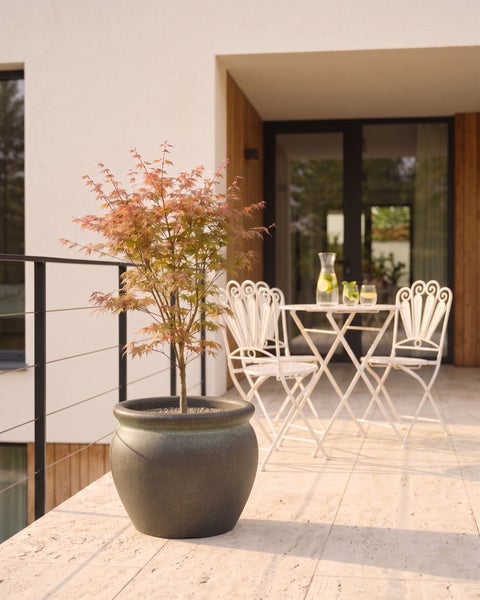 Japanischer Ahorn in einem runden Pflanzkübel auf einer modernen, hellen Terrasse mit weißen Gartenmöbeln aus Metall.