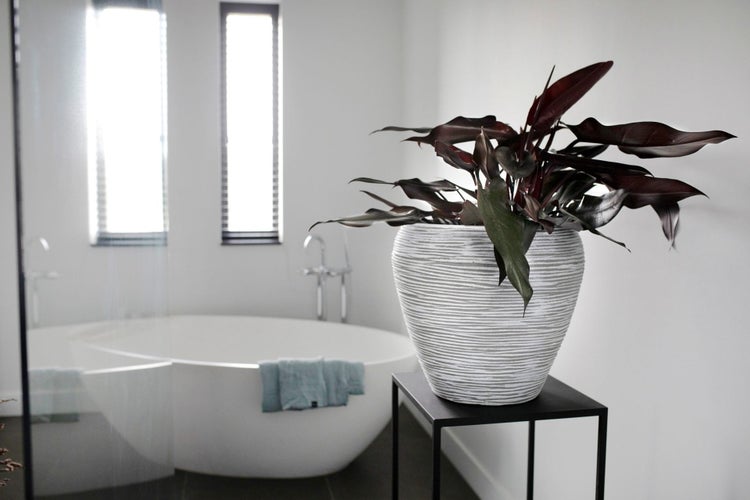 Helles, modernes Badezimmer mit freistehender weißer Badewanne und einer Zimmerpflanze in einem strukturierten Übertopf auf einem schwarzen Ständer.