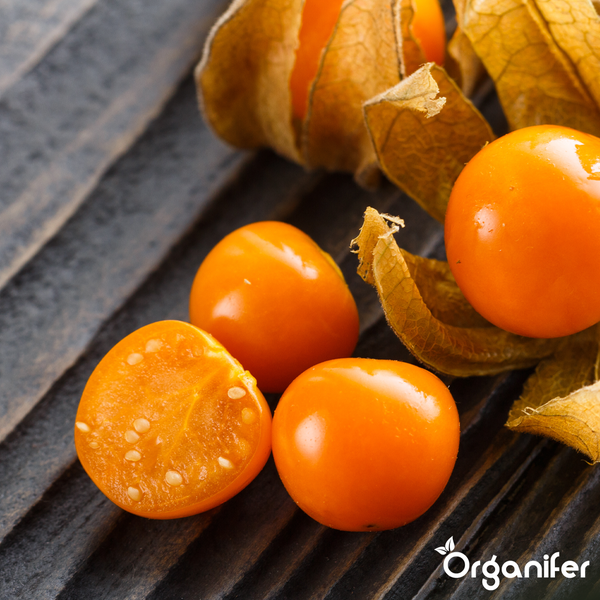 Physalis-Früchte mit papierartigen Hüllen, darunter eine halbierte Frucht mit Samen. Organifer Logo.