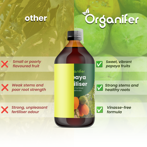 Organifer Papaya-Flüssigdünger im Vergleich für süße Früchte, starke Stämme und gesunde Wurzeln mit vinassefreier Formel.