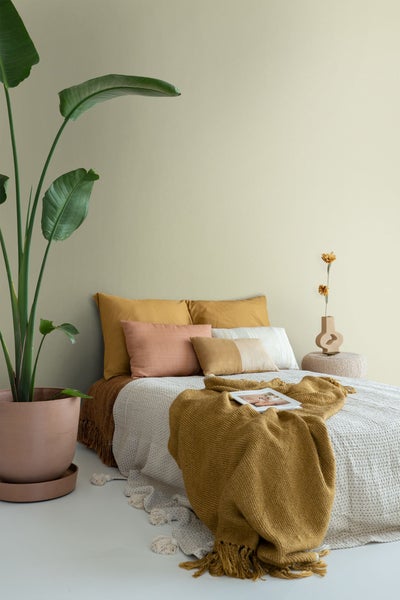 ESTAhome Wandfarbe matt  Sandbeige - 2 l / ca. 18 m² - 191002